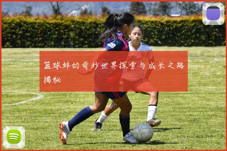 篮球蚌的奇妙世界探索与成长之路揭秘